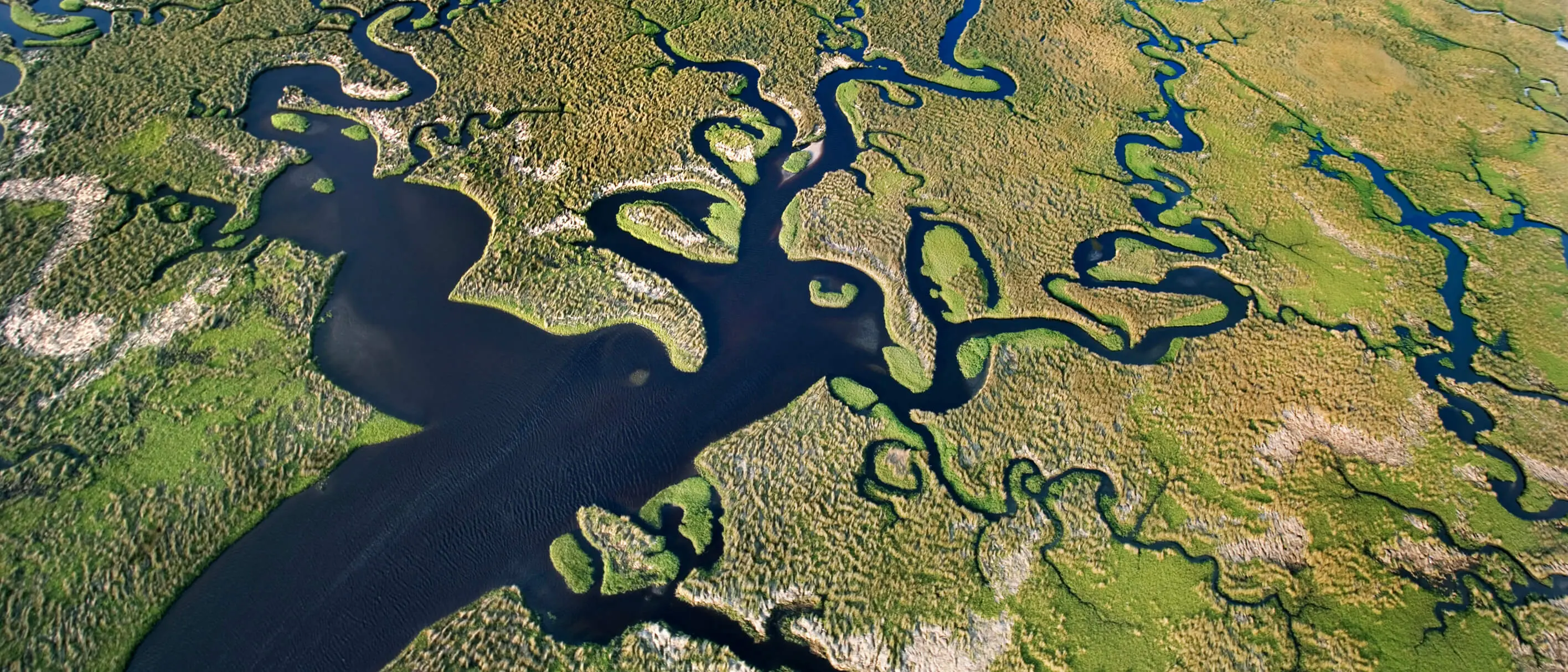 A birds eye view of a river delta with grassland surrounding it.