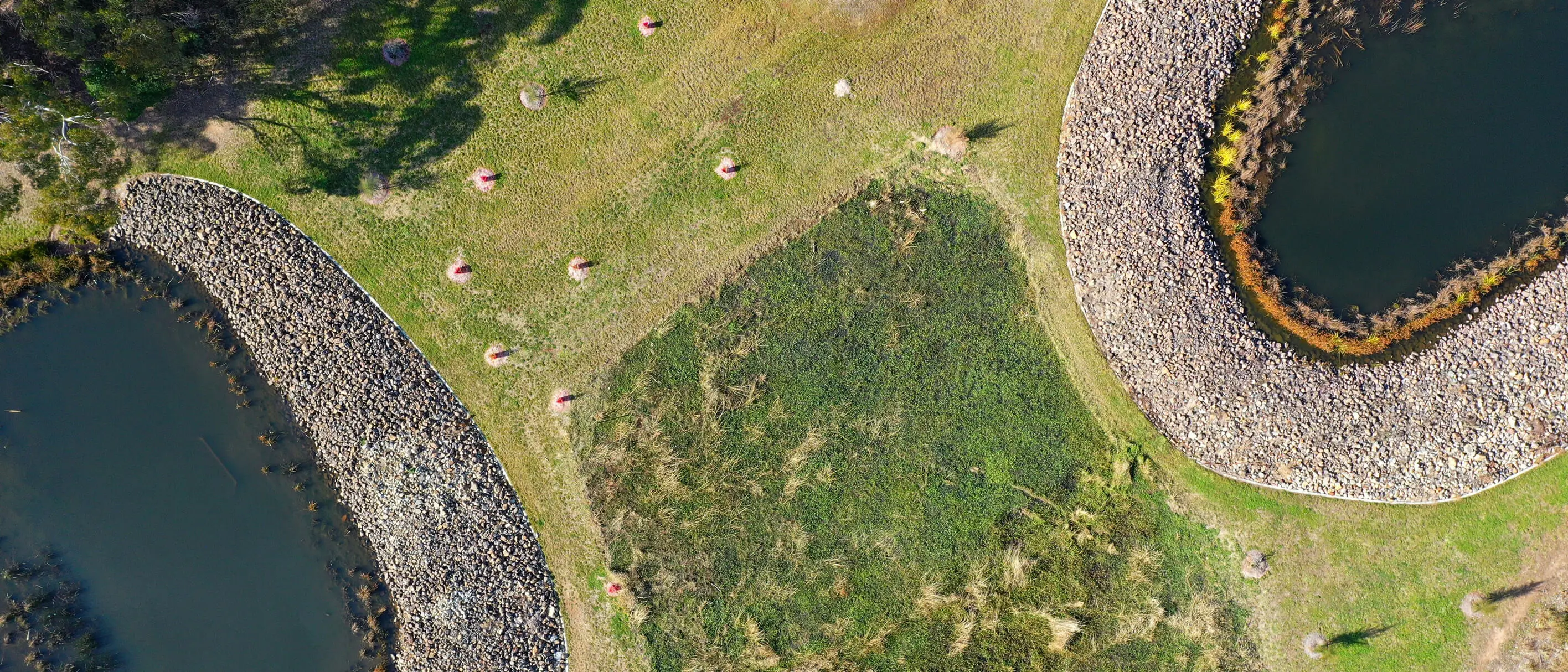 A grassy bank between two bodies of water